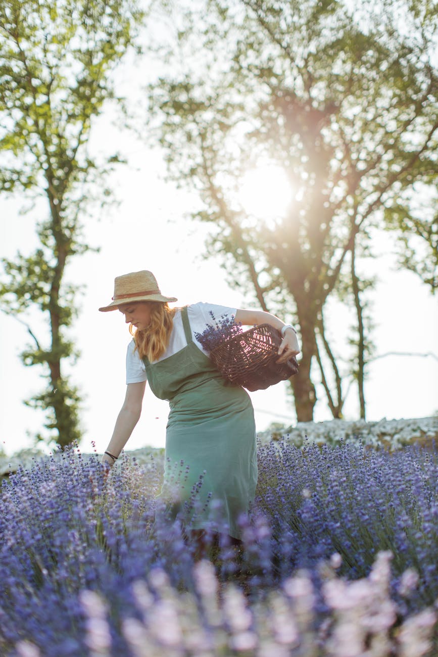 Ideas de novela y viajes en el&nbsp;tiempo