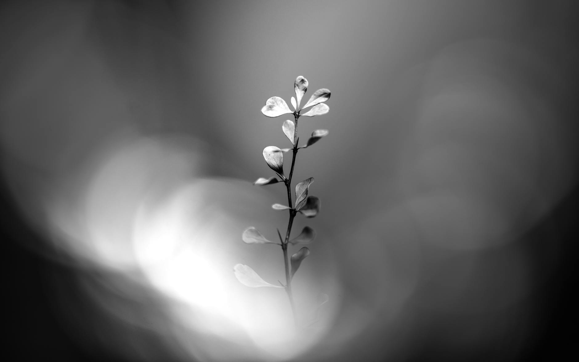 Ya no quiero guardar silencio